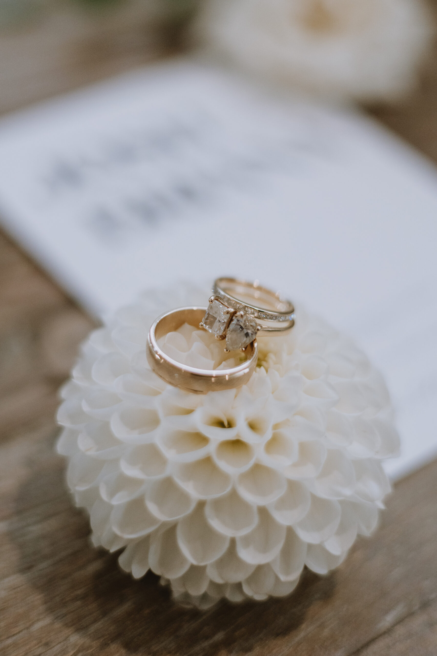 wedding rings sitting on a white flower